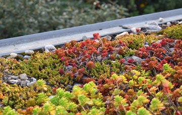the cost of Battle Hill green roof installation