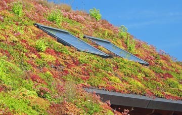 Battle Hill living roof systems